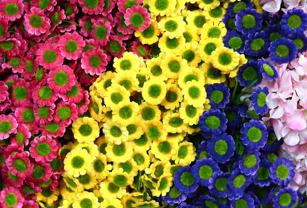 Beautiful colors of plastic flowers — Stock Photo, Image