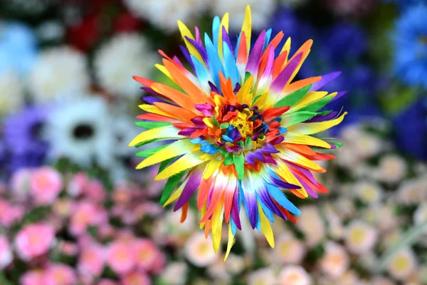 Bei colori di fiori di plastica — Foto Stock