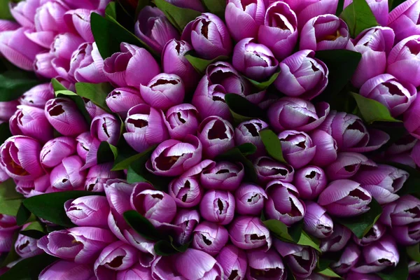 Piękne kolory kwiatów sztucznych — Zdjęcie stockowe