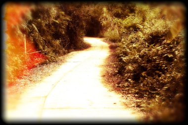 Dağlara giden yol
