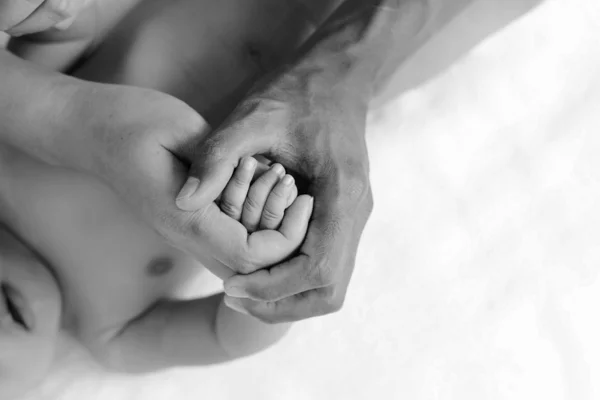 Holding a baby hand — Stock Photo, Image