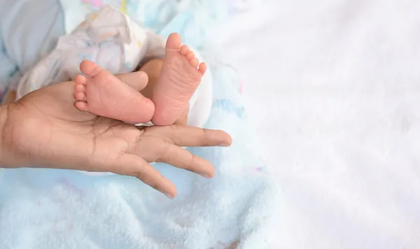 Primo piano dei piedi del neonato — Foto Stock