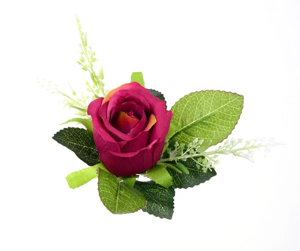 Rose isolated — Stock Photo, Image