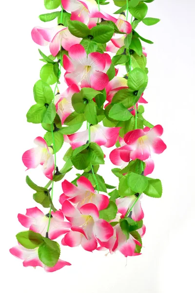Z tworzyw sztucznych kwiatów — Zdjęcie stockowe