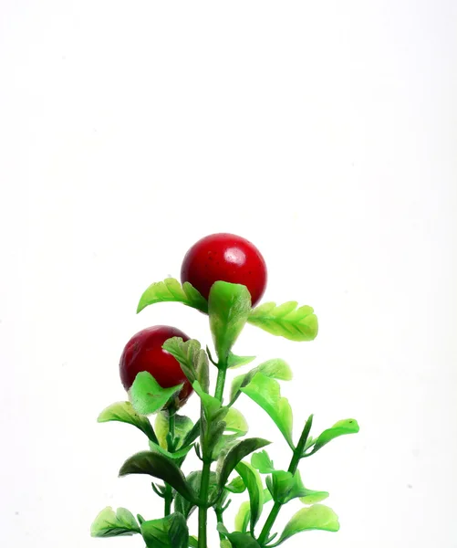 Sweet cherries with the leaf isolated — Stock Photo, Image