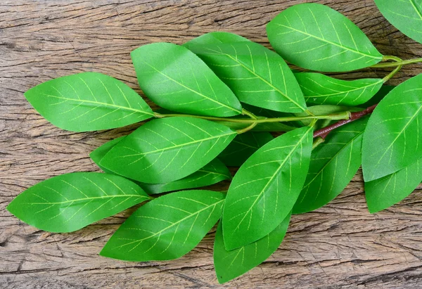 Leaves over wood background — Stock Photo, Image