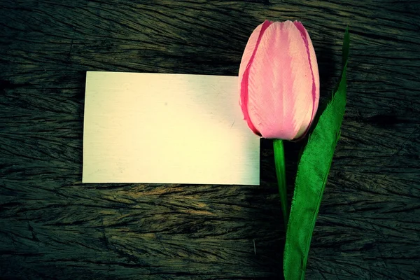 Tulipanes morados y tarjeta en blanco — Foto de Stock