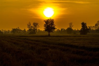 alanın üzerinde günün sonunda