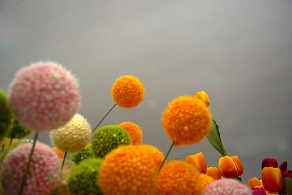 Verschiedene Arten von Blumen — Stockfoto