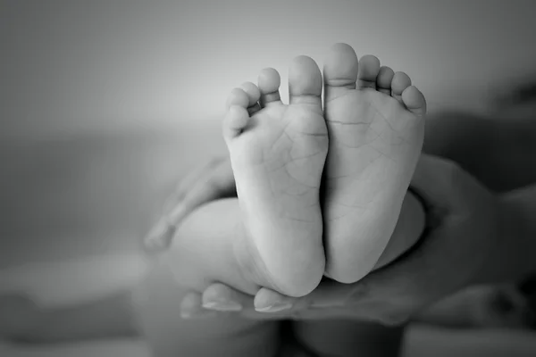 Закрыть стопы новорожденным — стоковое фото