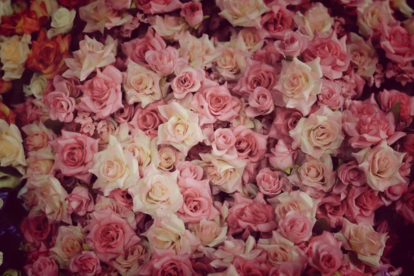 Fundo rosas coloridas — Fotografia de Stock