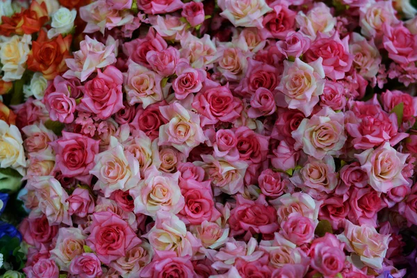 Barevné růže pozadí — Stock fotografie