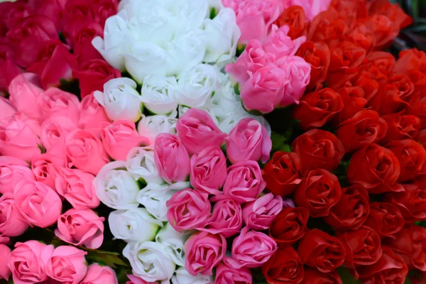 Fondo de rosas de colores — Foto de Stock