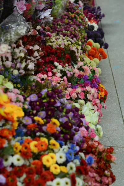 Verschiedene Arten von Blumen — Stockfoto