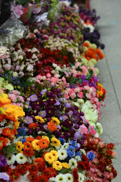 Vari tipi di fiori — Foto Stock
