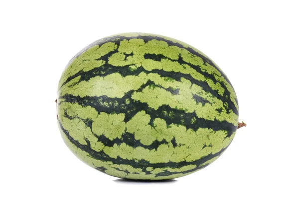 Melón — Foto de Stock