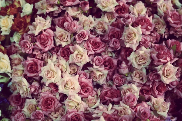 Háttér színes rózsák — Stock Fotó