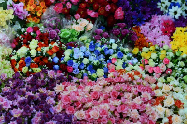 Vários tipos de flores — Fotografia de Stock