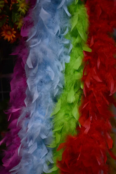 Colorful feather — Stock Photo, Image