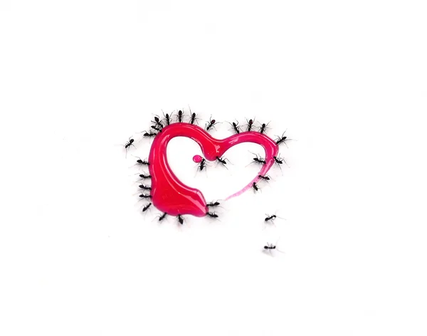 Червоний сироп у формі серця з мурахами — стокове фото