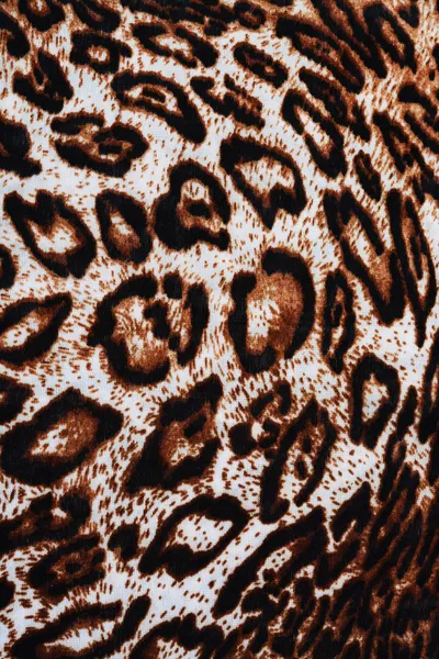 Le tissu de motifs léopard sur fond — Photo
