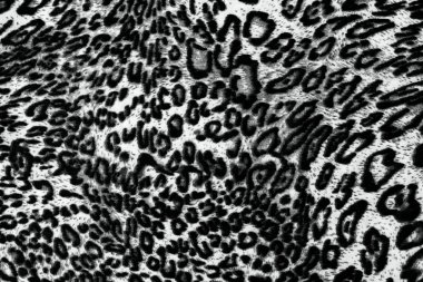 arka planda motifleri leopar kumaş 