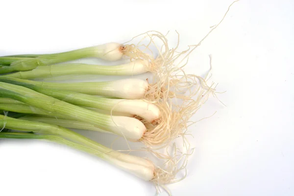 Resh spring onions isolated — Stock Photo, Image
