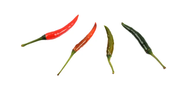 Chilipeppar isolerade — Stockfoto