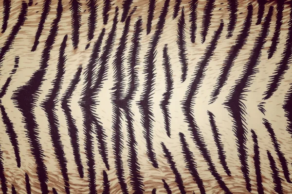 老虎织物纹理 — 图库照片