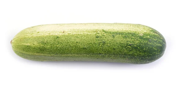 Fresh cucumber isolated — Stock Photo, Image
