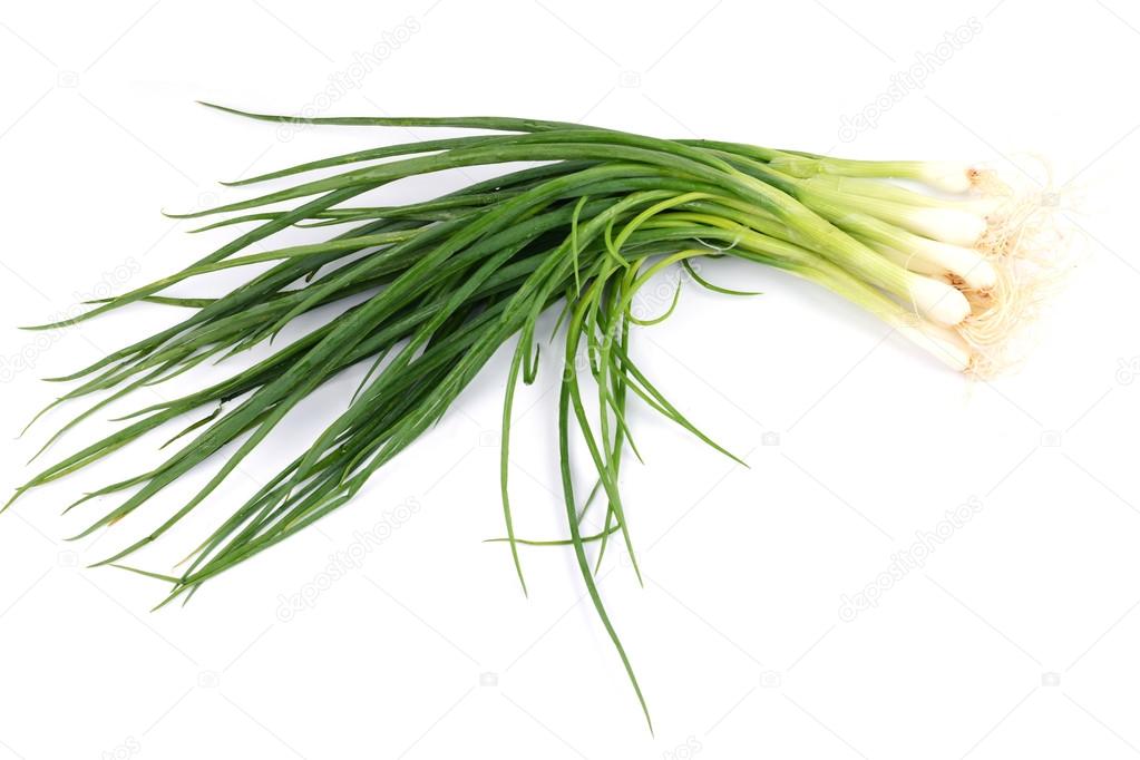 resh spring onions isolated