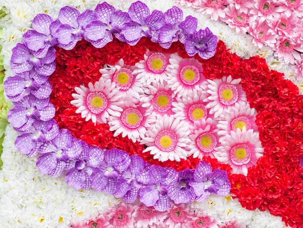 Pink daisy blommor — Stockfoto