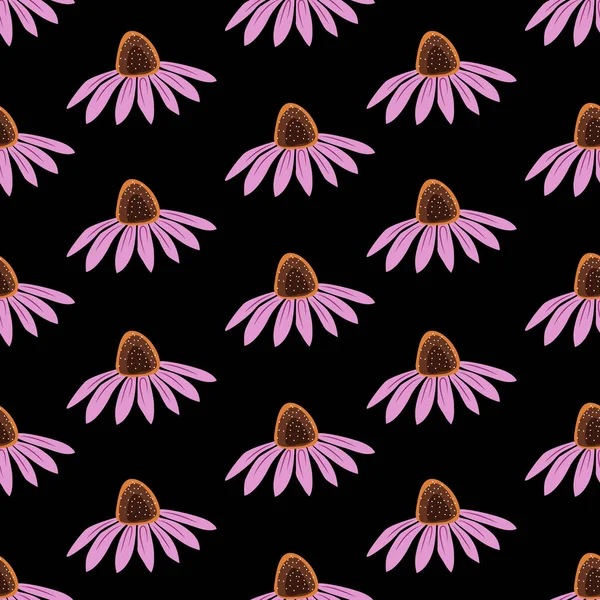 在黑色背景上分离出的紫锥菊花图案用无缝线图例 矢量图例 — 图库矢量图片