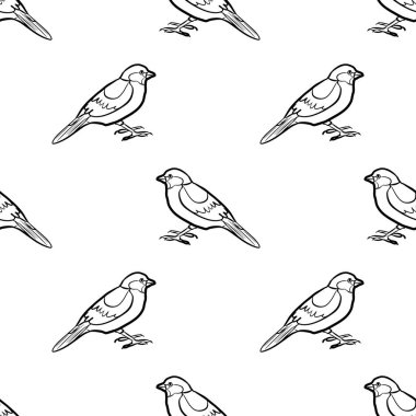 Beyaz arkaplanda izole edilmiş küçük kuş serçesi çizimi kusursuz desendedir - vektör illüstrasyonu