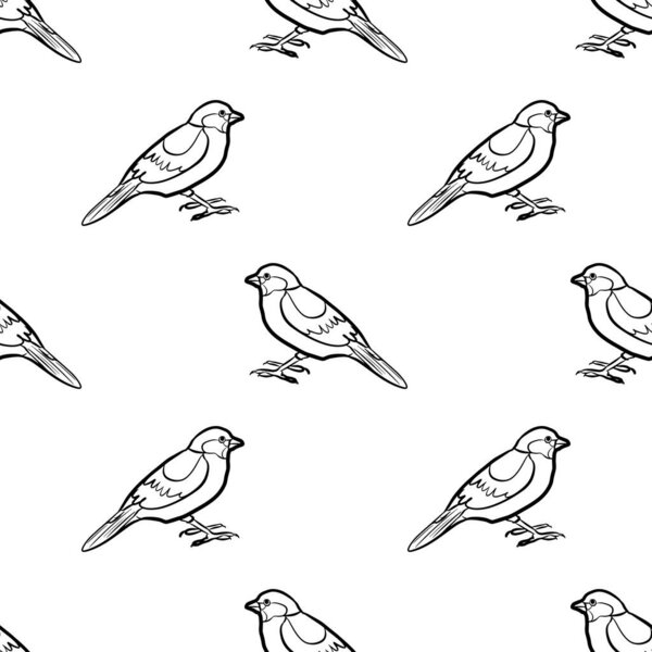 Small bird sparrow line drawing isolated on white background is in Seamless pattern - vector illustration