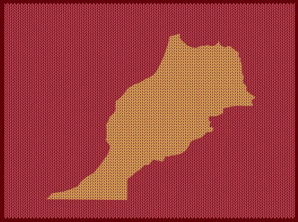 Χάρτης Μοτίβο Πλεξίματος Της Χώρας Μαρόκο Απομονωμένο Κόκκινο Φόντο Εικονογράφηση — Διανυσματικό Αρχείο