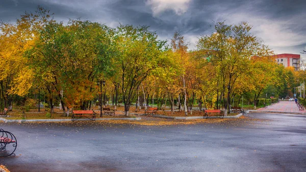 Sonbahar parkı yağmurdan sonra