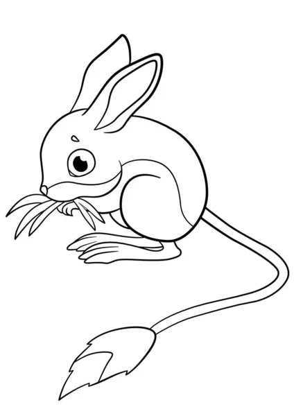 Páginas Para Colorear Animales Salvajes Poco Lindo Bebé Jerboa Para — Vector de stock