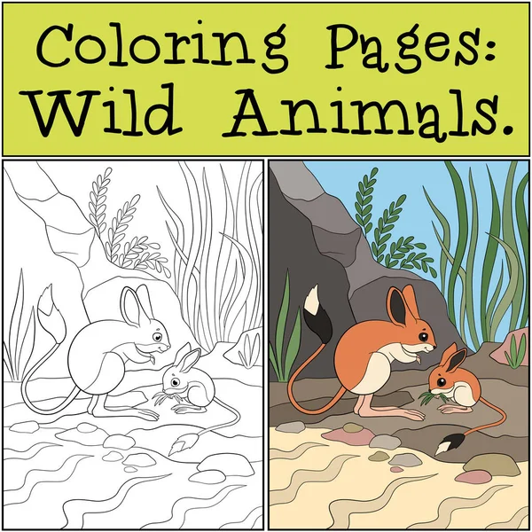 Dibujos Para Colorear Animales Salvajes Madre Jerboa Con Pequeño Bebé Ilustraciones de stock libres de derechos