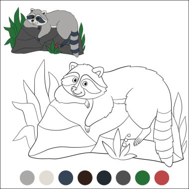 Örnek olarak boyama sayfası. Şirin gülümseyen mutlu rakun taşın üzerinde yatıyor..