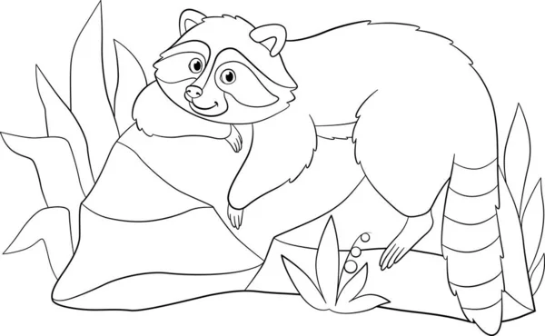 Coloring Page Cute Smiling Raccoon Rests Stone — Stock Vector