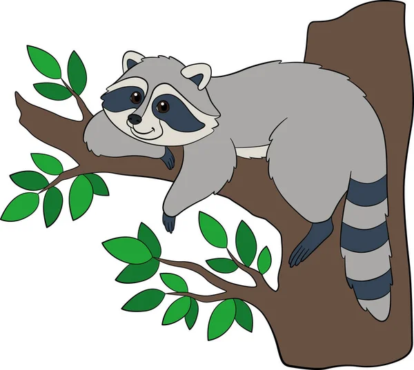 Cartoon Wild Animals Cute Striped Smiling Raccoon Rests Tree — Stock Vector