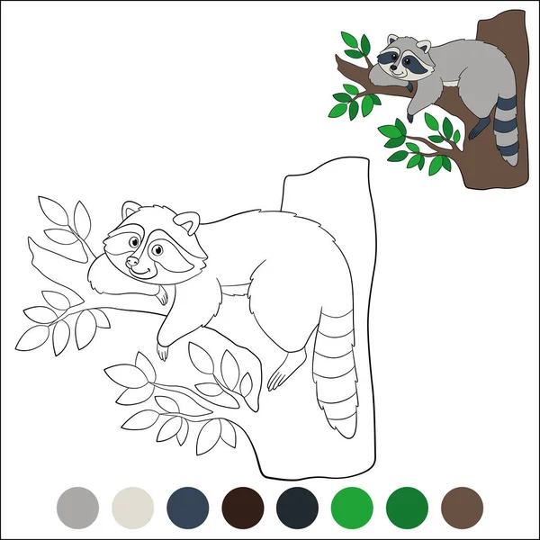 用实例对页面进行着色 可爱的笑着的小浣熊躺在树上 — 图库矢量图片