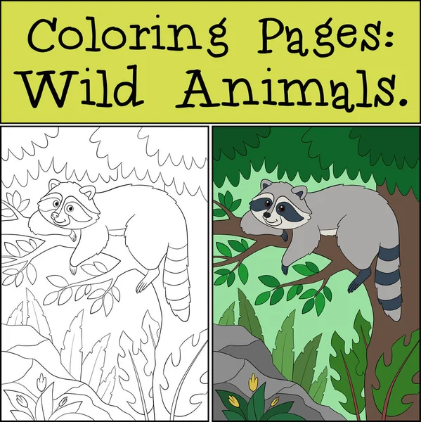 Dibujos Para Colorear Animales Salvajes Lindo Sonriente Srtiped Mapache Descansa Gráficos vectoriales