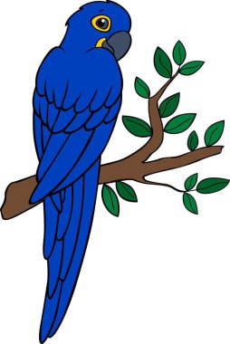 Çizgi film kuşları. Papağan mavisi papağan ağaç dalına oturur ve gülümser..