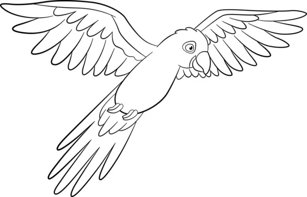 Раскрашивание Страницы Милый Попугай Голубой Попугай Мухи Улыбки — стоковый вектор