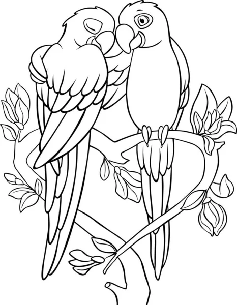 Coloring Page Two Cute Parrots Blue Macaw Sits Tree Branch — Stock Vector