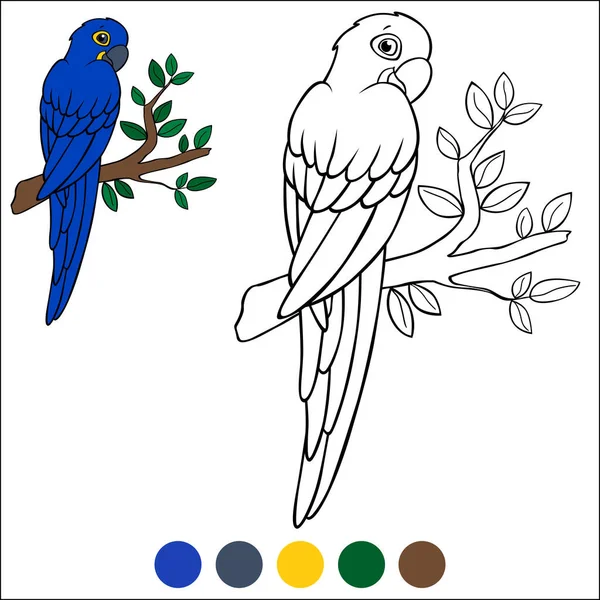 Coloring Page Birds Cute Parrot Blue Macaw Sits Tree Branch — Stock Vector