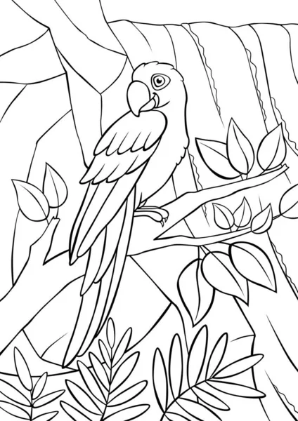 Coloring Page Cute Parrot Blue Macaw Sits Tree Branch Smiles — Stock Vector