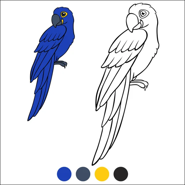 Sayfa Kuşlarını Boyamak Şirin Mutlu Papağan Mavi Papağan Oturur Gülümser — Stok Vektör